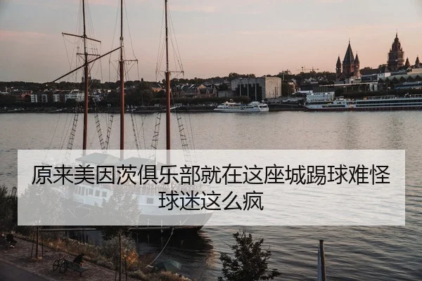 原来美因茨俱乐部就在这座城踢球难怪球迷这么疯
